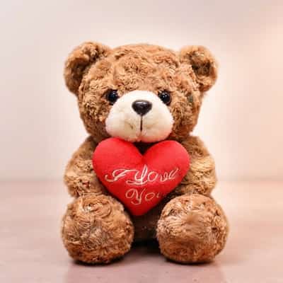 Oso de Peluche ❤️