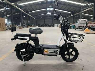 Bicicleta eléctrica
