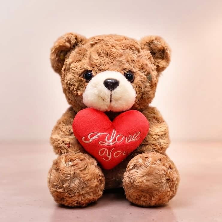 Oso de Peluche ❤️