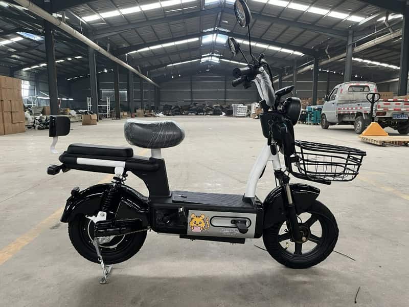 Bicicleta eléctrica